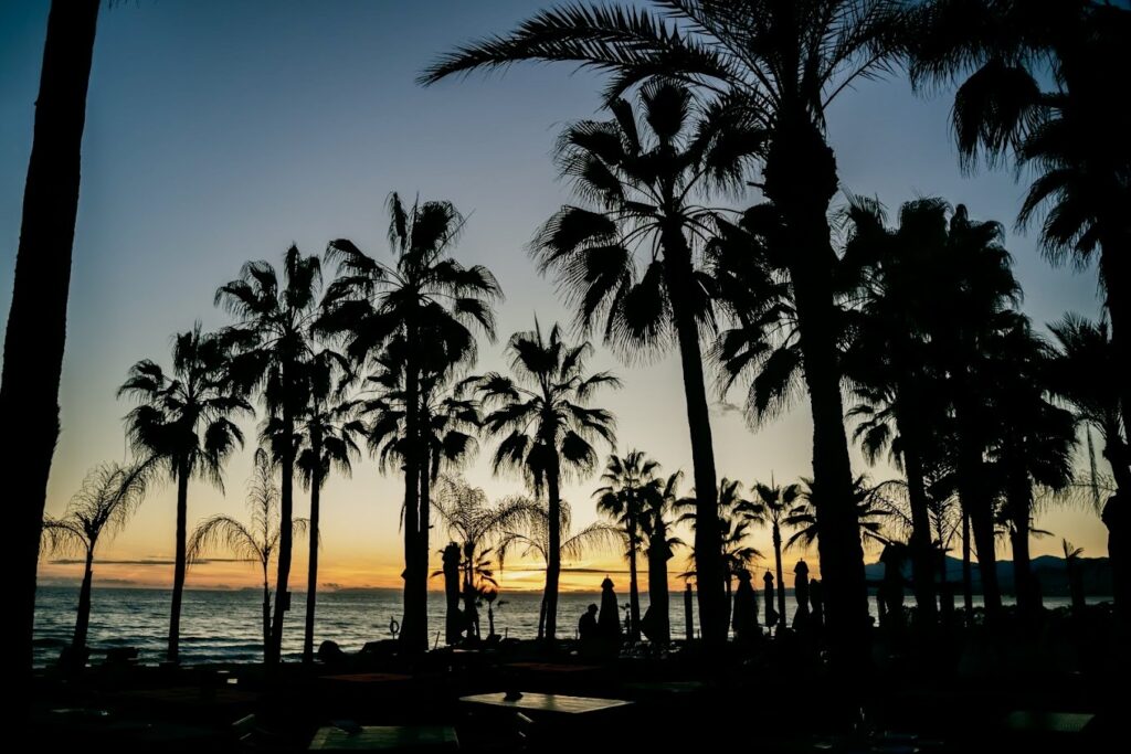 04_Trocadero Arena Marbella 7